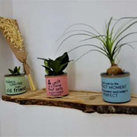 Maison Avec Justice Sur *